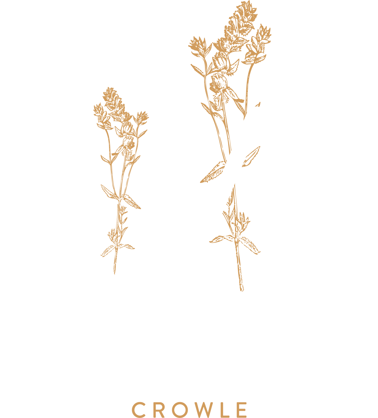 Millcroft Mews Hover Image